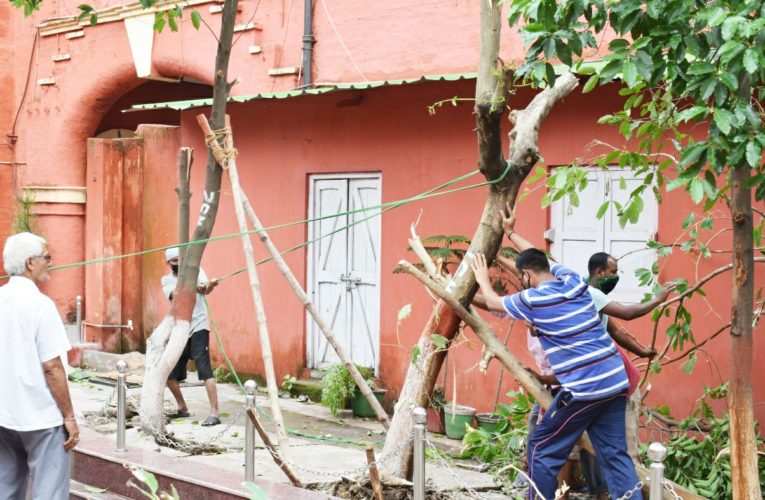 Restoration of uprooted trees in Cyclone hit SER campus at headquarters, Garden Reach